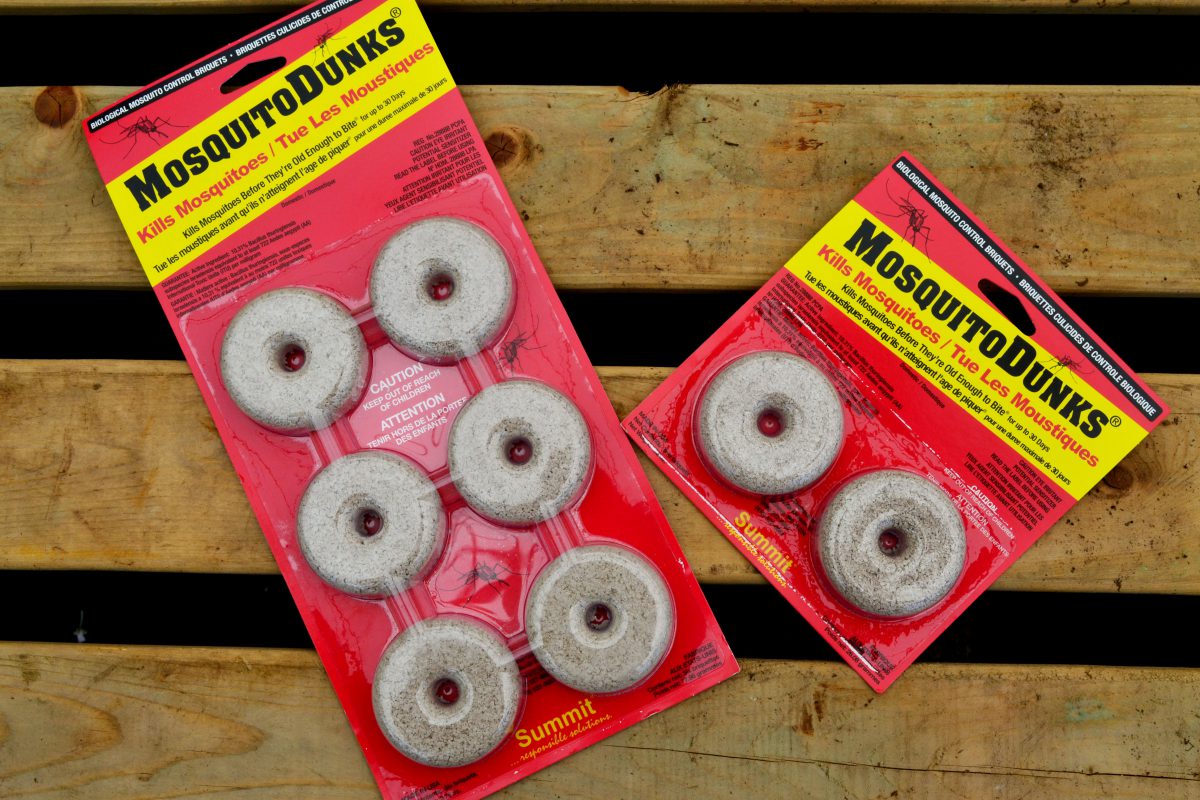 Preventing Mosquitoes in your Outdoor Space