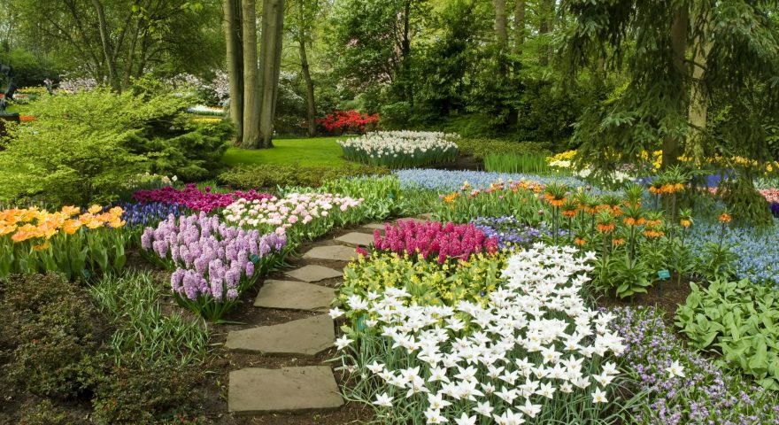 fall bulbs for spring blooms